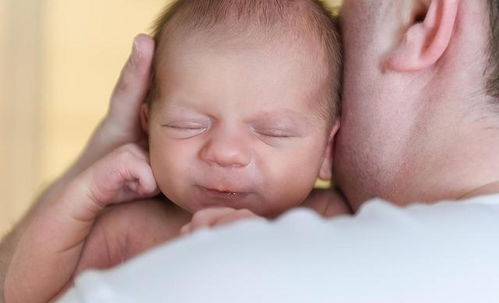 橘貓讓妻子懷孕 丈夫看到 兩條線 傻眼,意外來得太突然