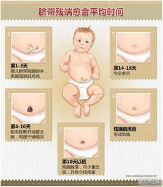 45張醫(yī)學美圖,帶你熟記婦產(chǎn)科高頻考點 建議收藏