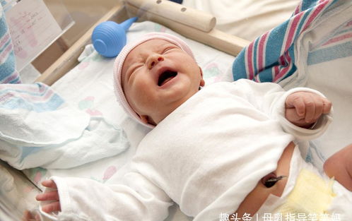 新生兒剪臍帶,是媽媽疼還是寶寶疼 正確護理臍帶全靠這三點